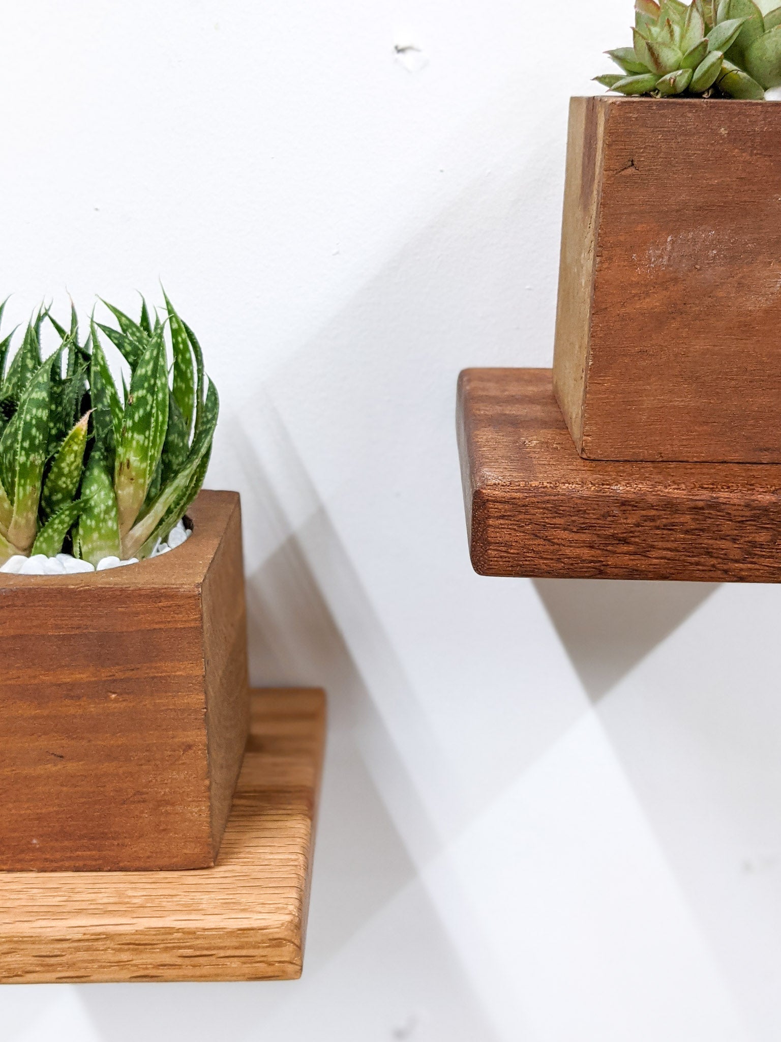 Mavi Square Shelf | Handcrafted Mahogany 4