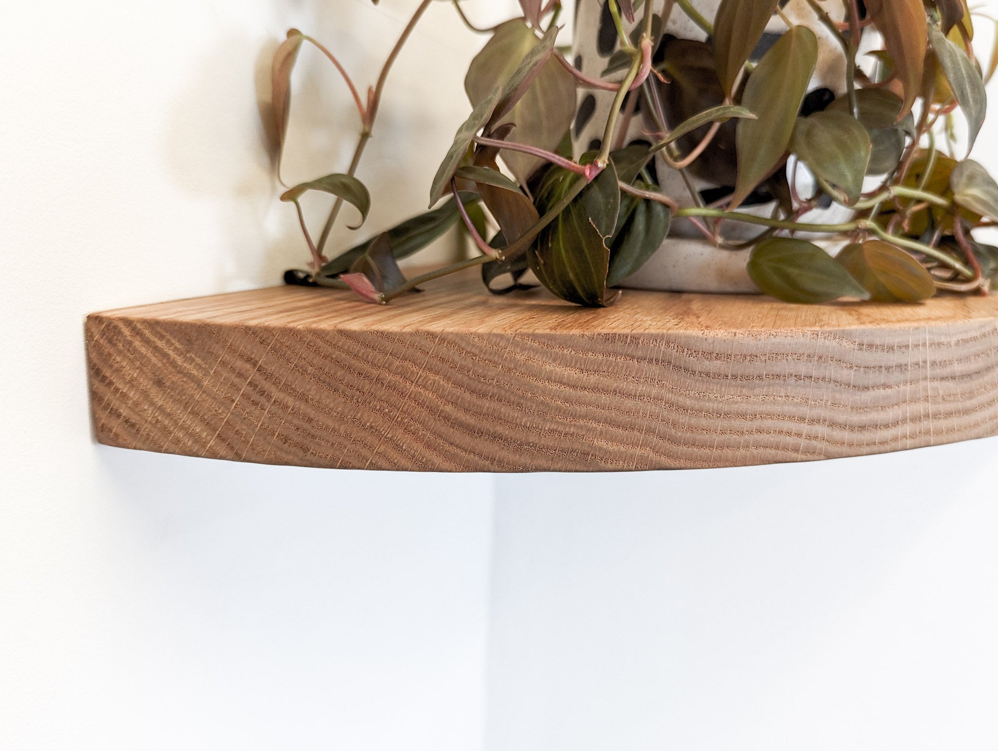 Milo Floating Shelf | Mahogany, Round Edge Design 8