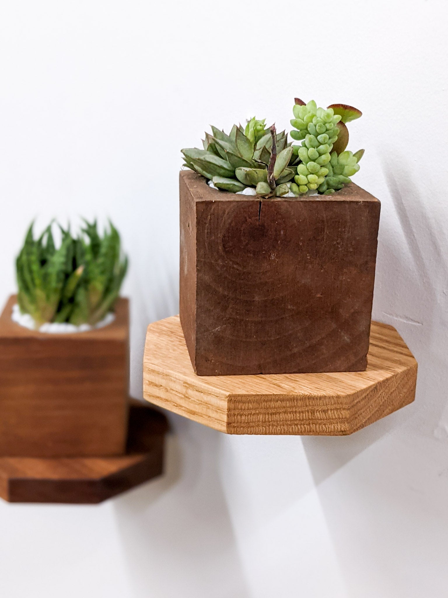 Oaktree Octagon Shelf | Handmade Premium Oak Floating Wall Shelf 1