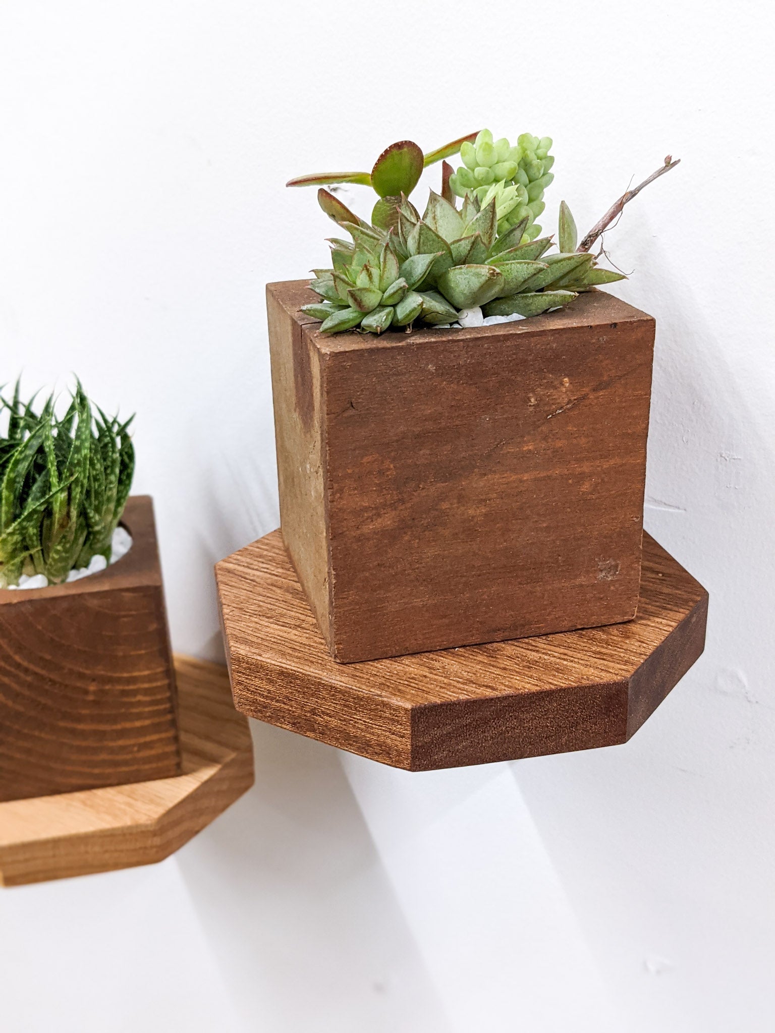 Oaktree Octagon Shelf | Handmade Premium Oak Floating Wall Shelf 7