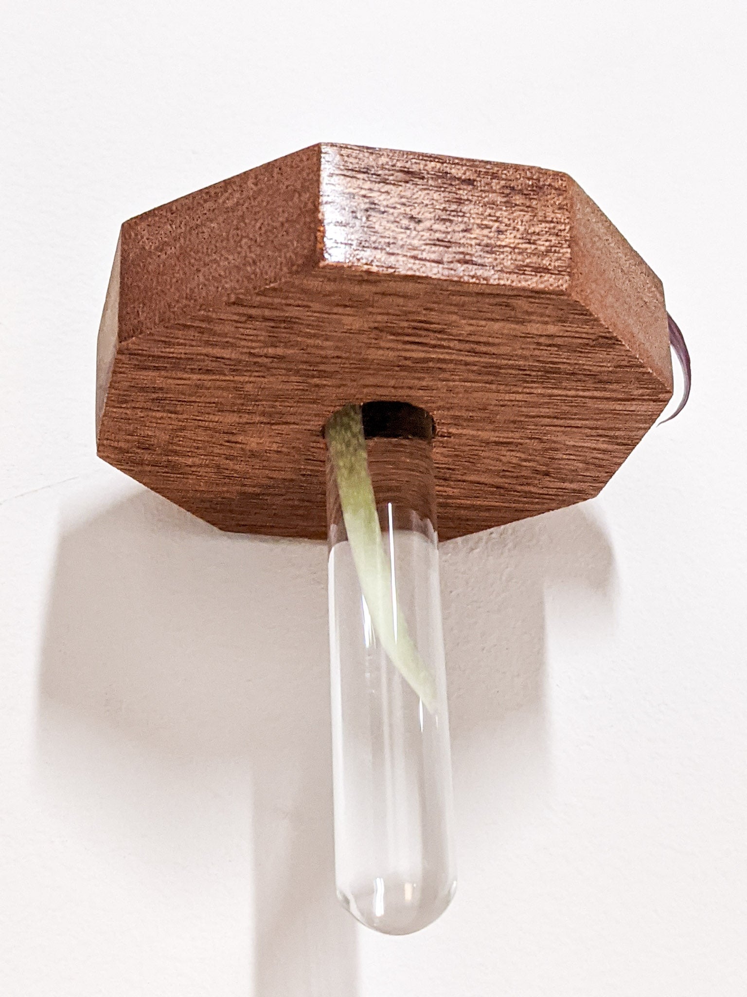 Octavia Propagation Station | Handcrafted Oak and Mahogany 7
