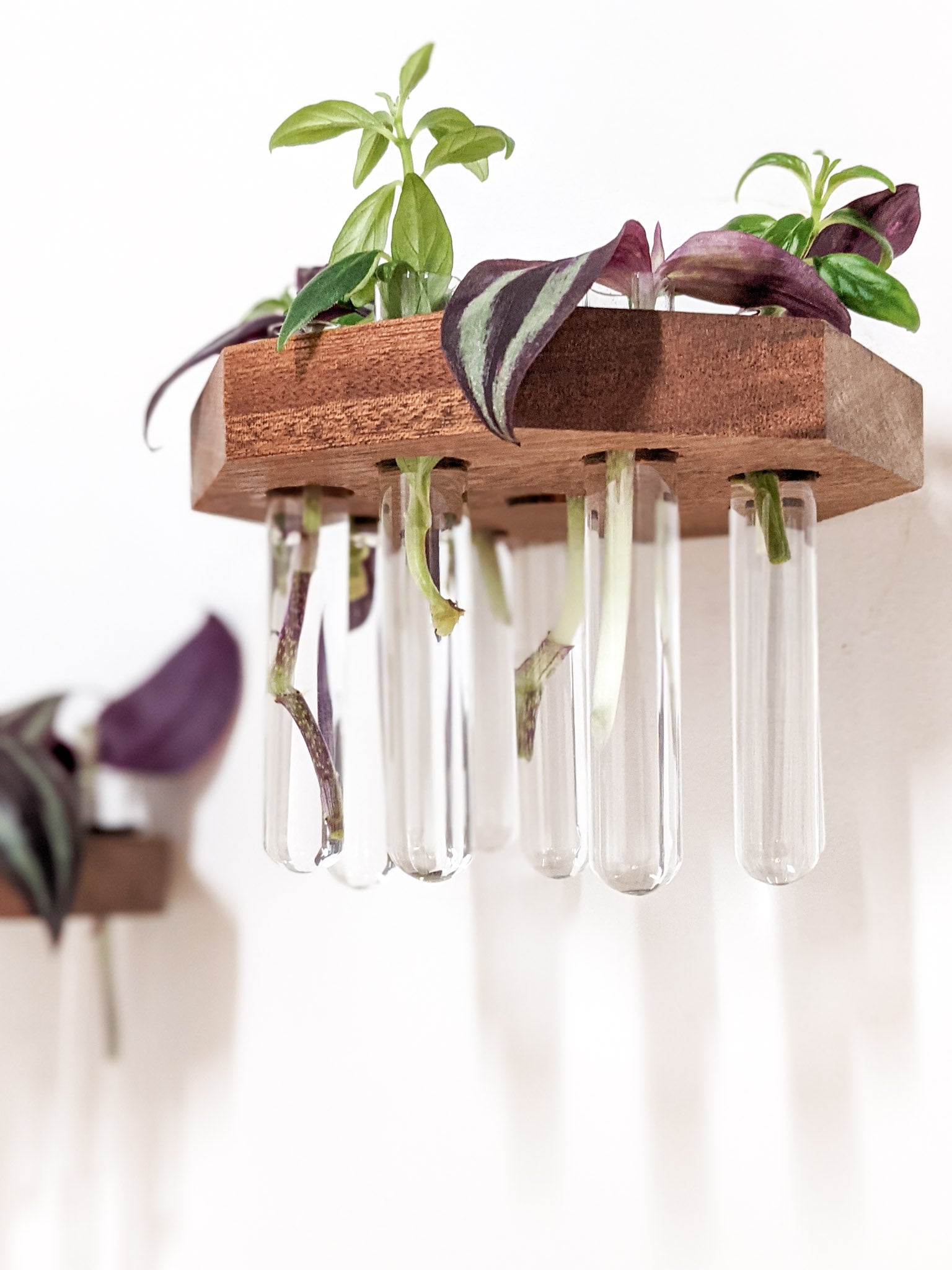 Pura Wall Shelves Set | Handcrafted Wooden, Decorative Floating Design 2