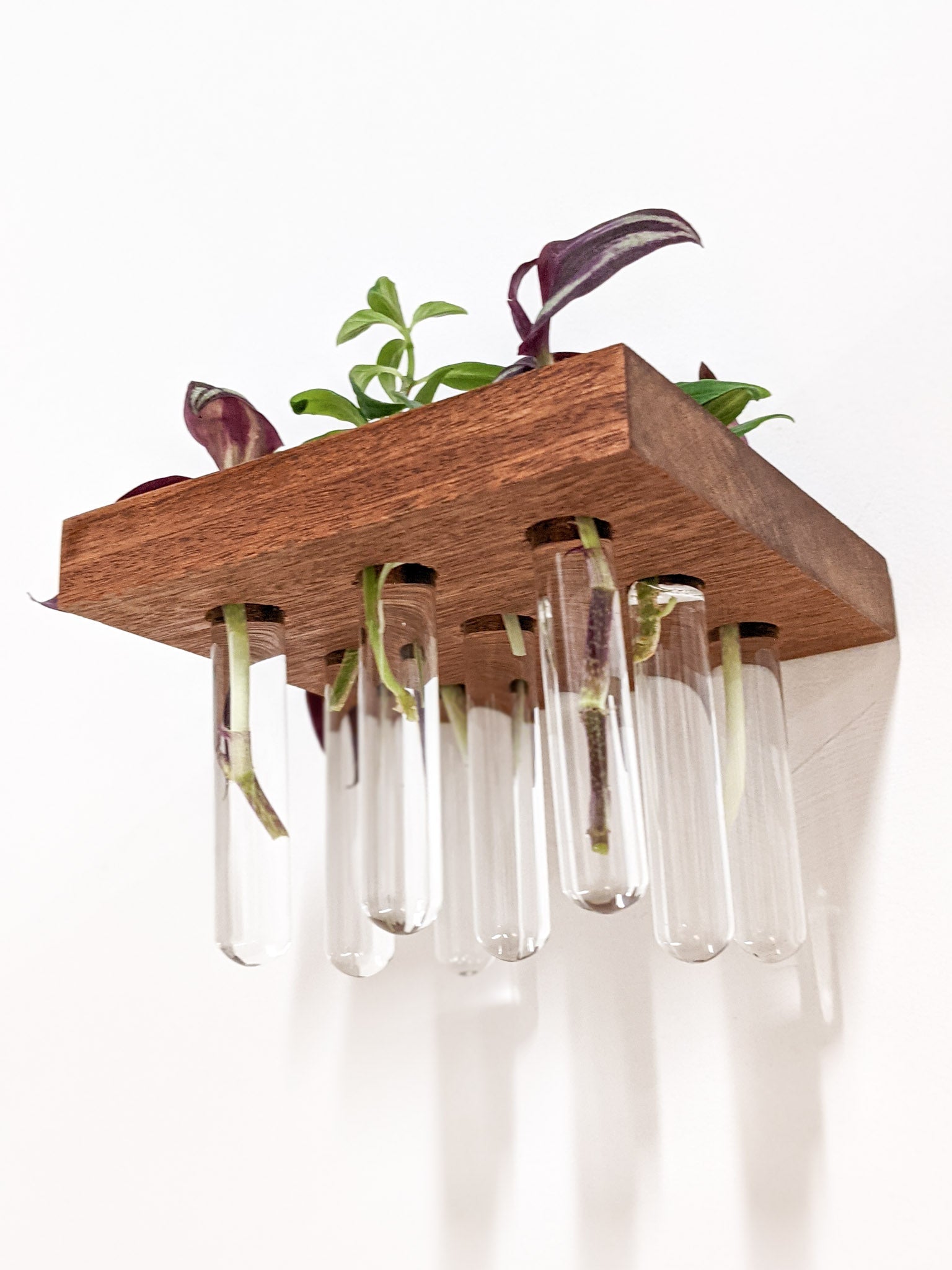 Pura Wall Shelves Set | Handcrafted Wooden, Decorative Floating Design 4