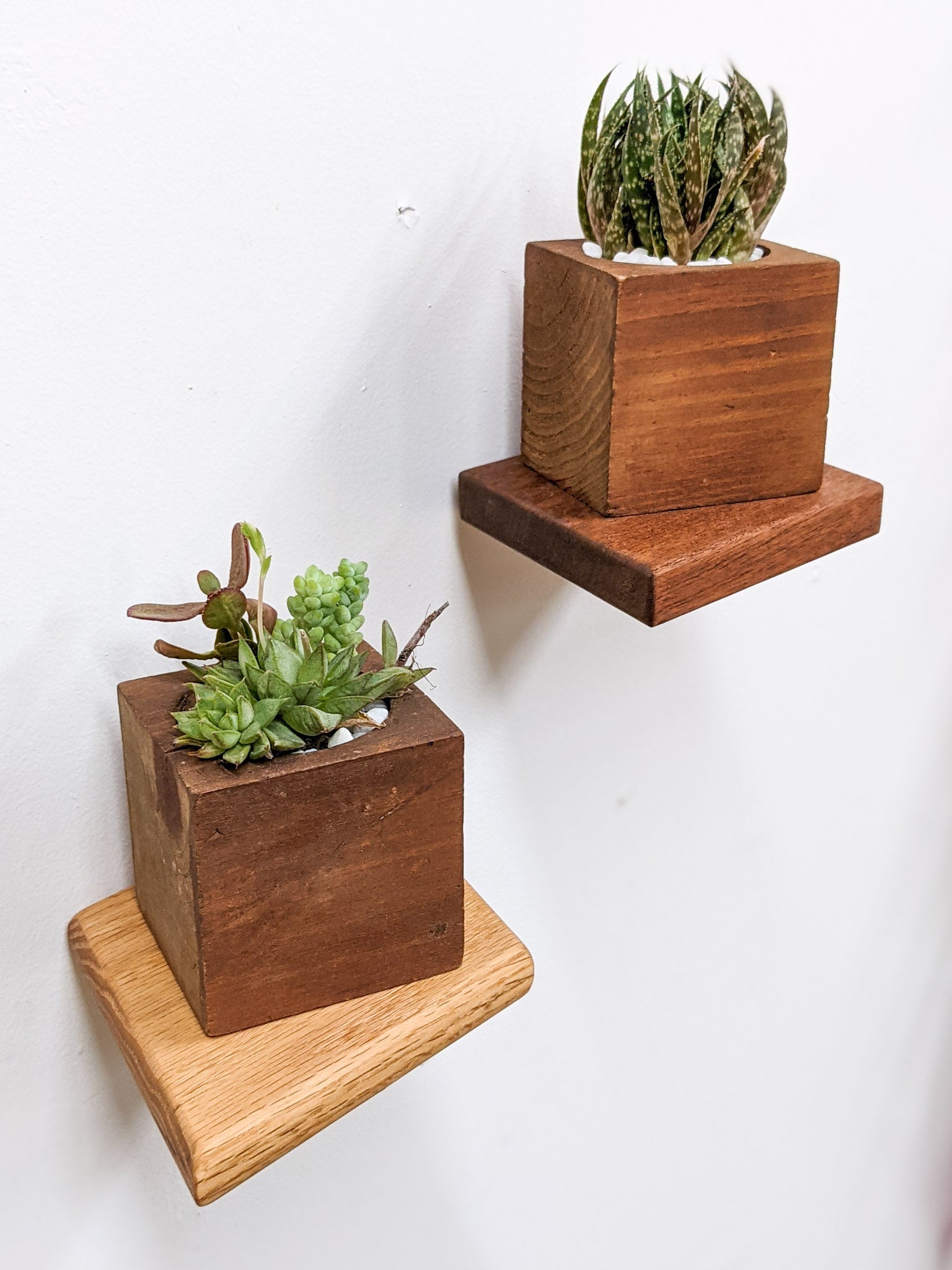 Rho Mini Shelf | Handcrafted Mahogany Display 5