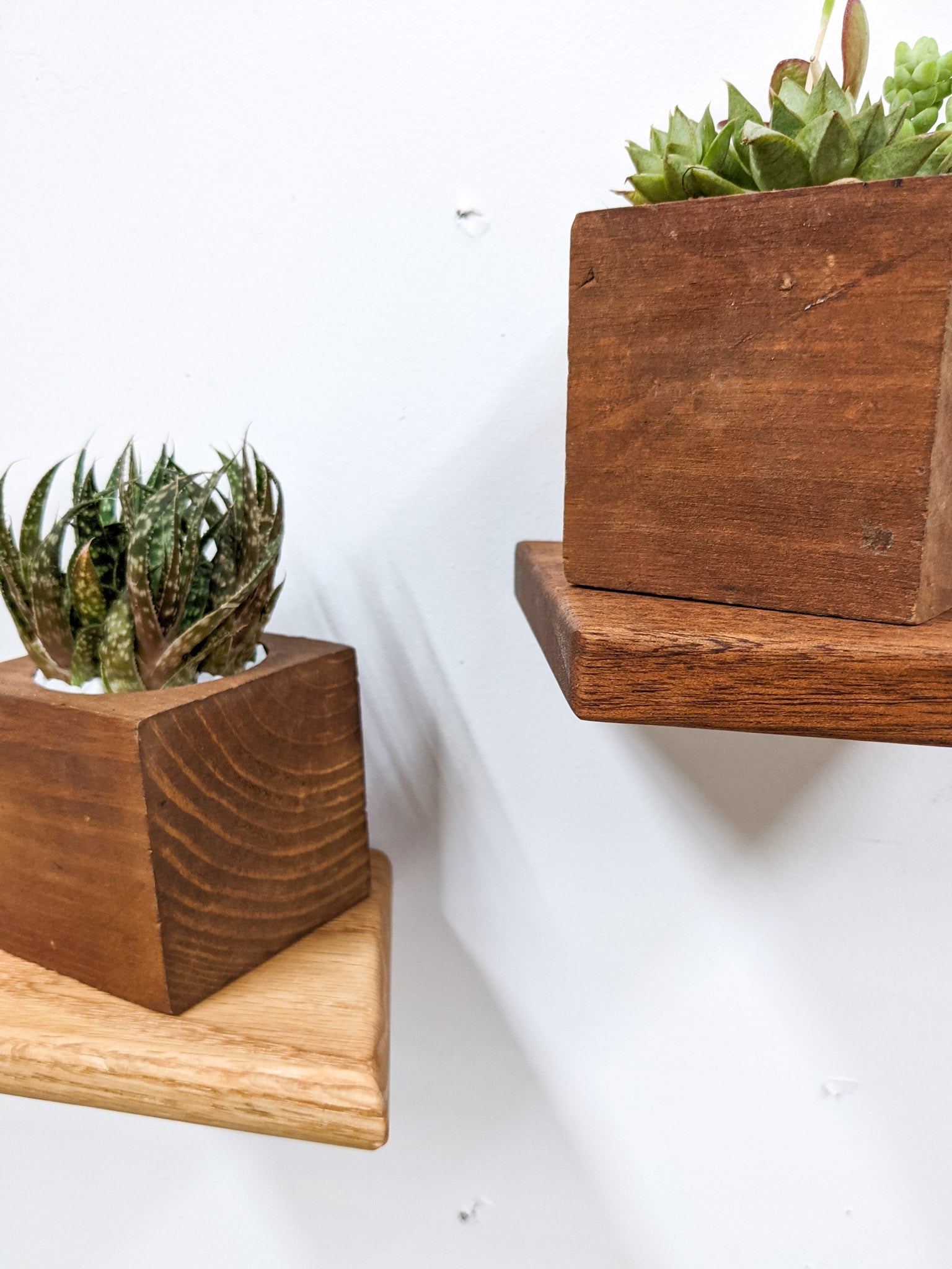 Rho Mini Shelf | Handcrafted Mahogany Display 7
