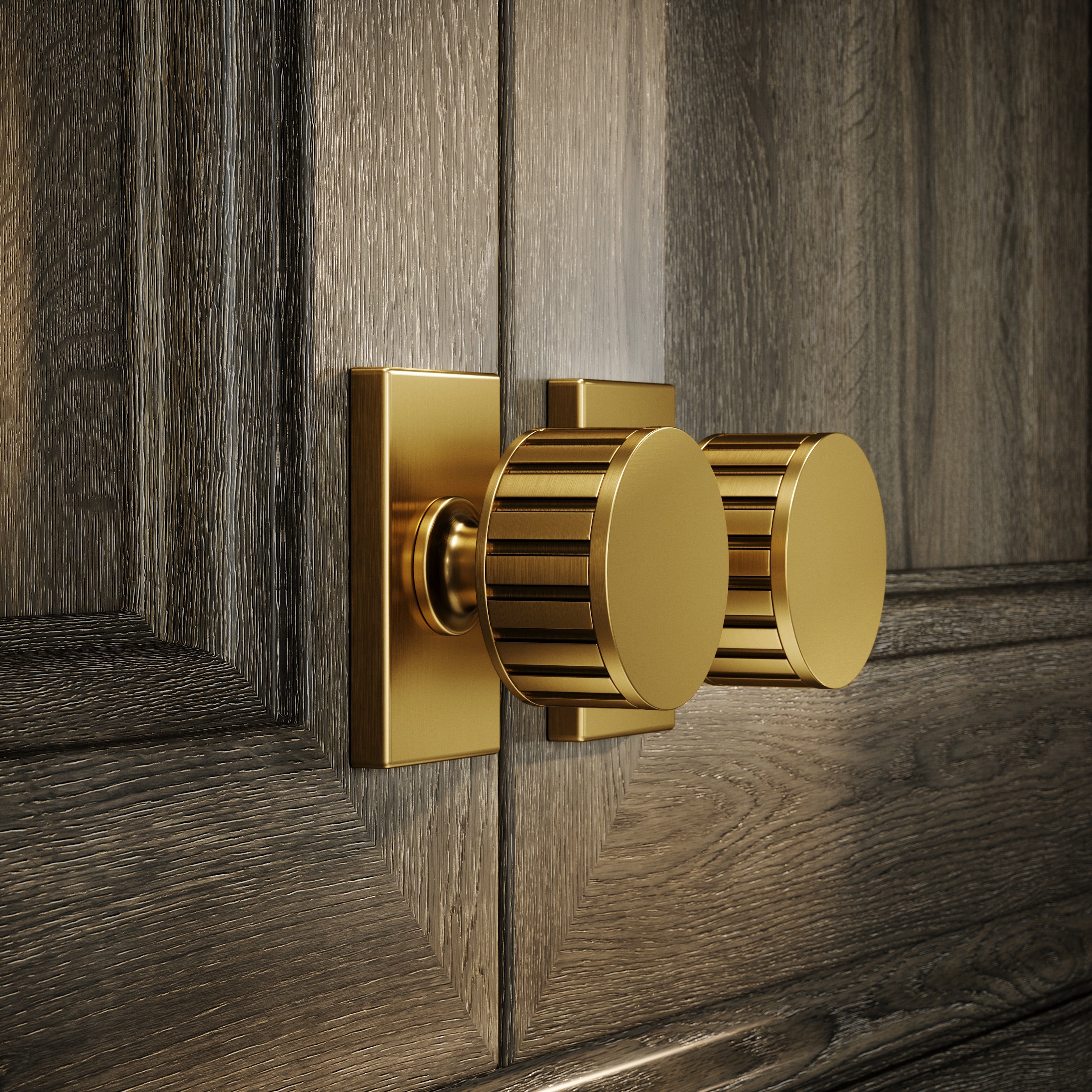 Rola Cabinet Knob | Brushed Gold, Solid Brass 2