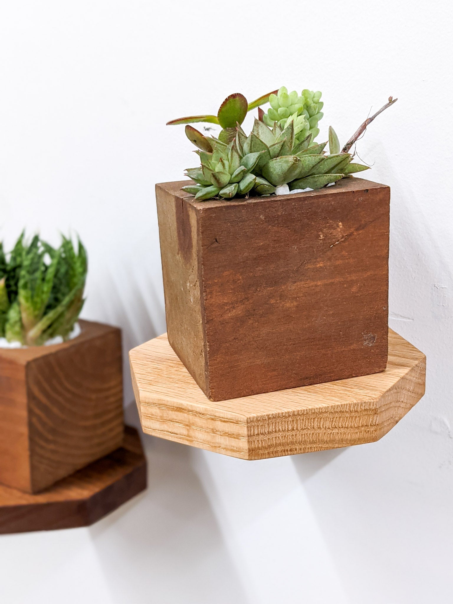 Sola Floating Shelf Set | Oak and Mahogany 3