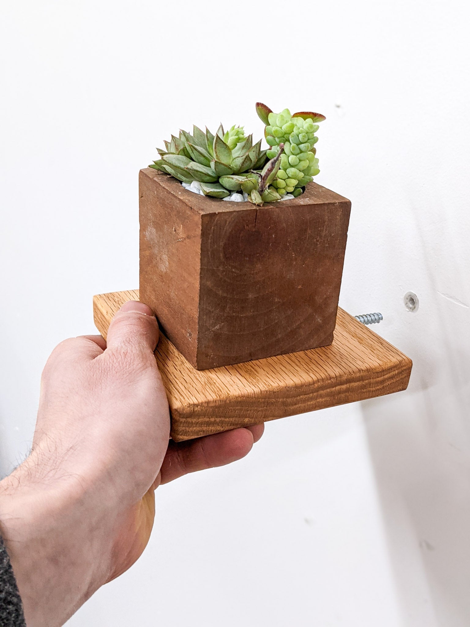 Sola Square Shelf | Handcrafted Oak Display 4