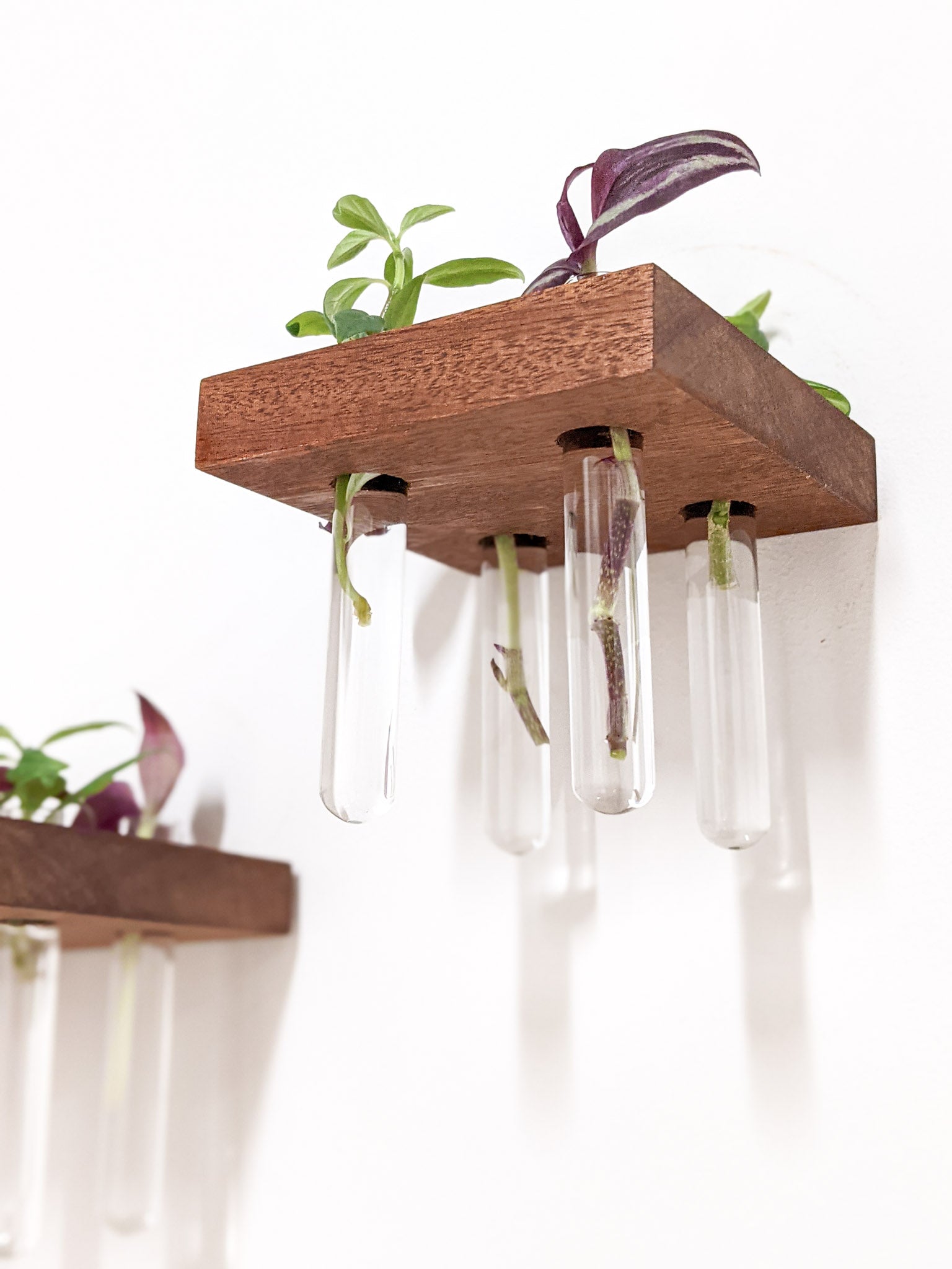 Squa Plant Shelf Indoor | Handcrafted Oak or Mahogany with Glass Vases 1
