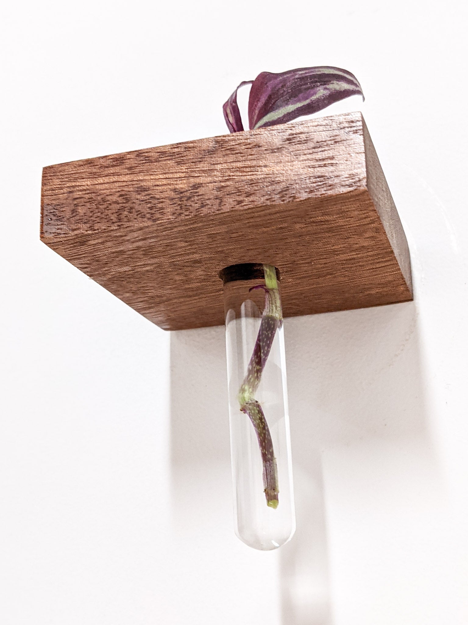 Squa Plant Shelf Indoor | Handcrafted Oak or Mahogany with Glass Vases 5