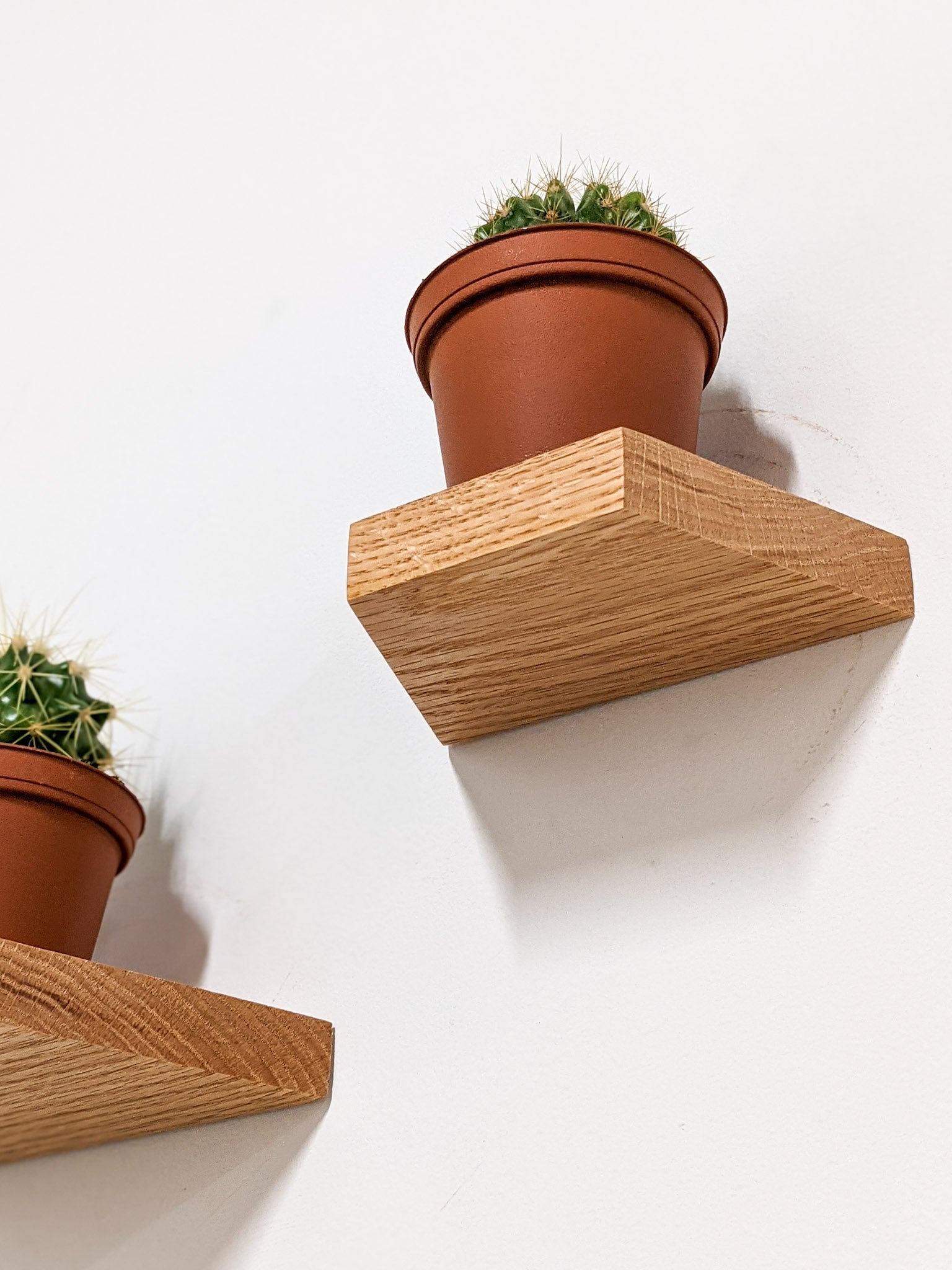 Tara Display Shelf | Handcrafted Oak, Compact Design 2