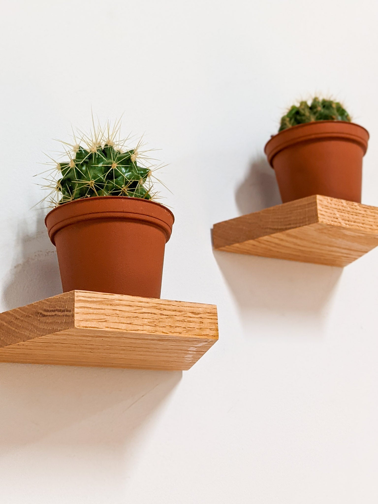 Tara Display Shelf | Handcrafted Oak, Compact Design 3