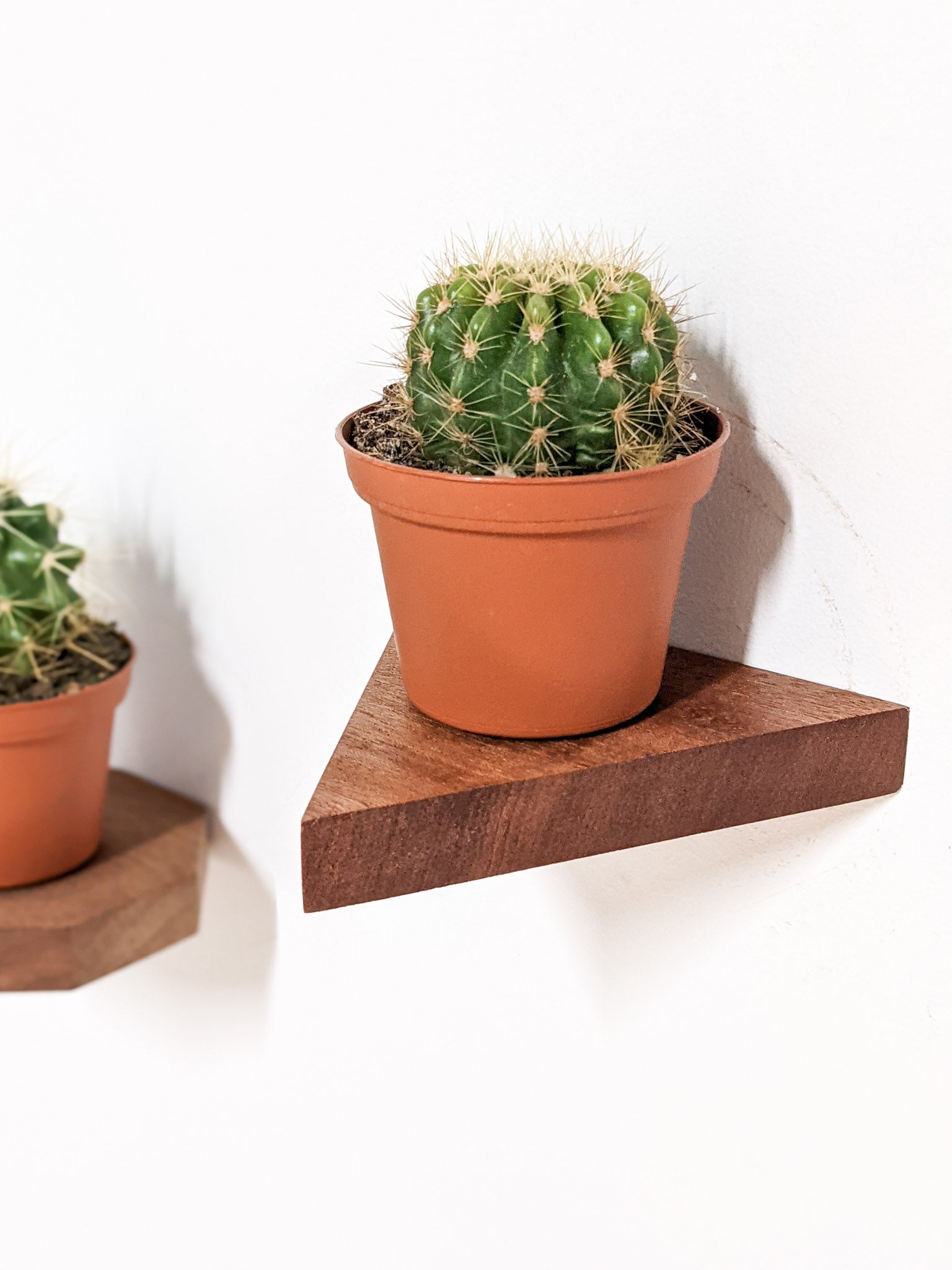 Tara Triangle Shelf | Handmade Solid Oak Wall Shelf, Danish Oil Finish 5