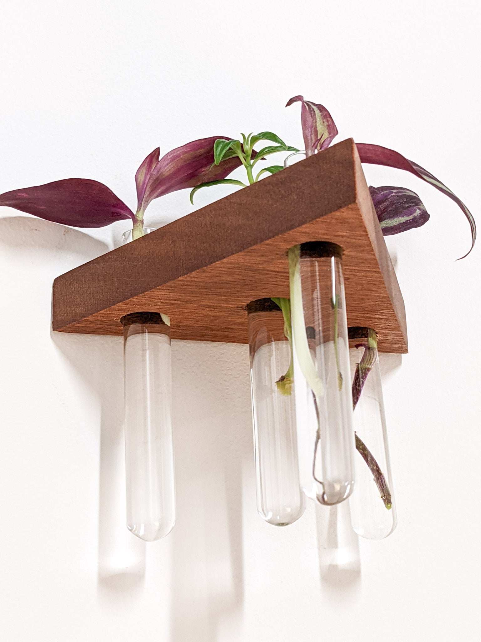 Trellis Plant Shelf | Premium Oak or Mahogany 1