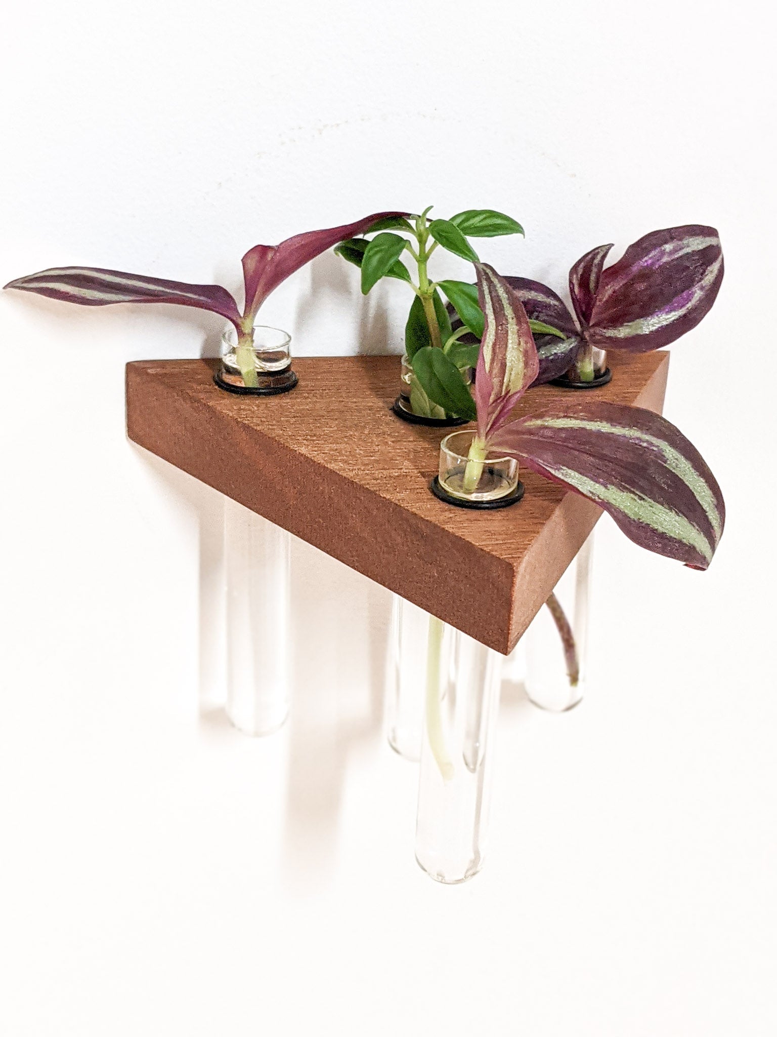 Trellis Plant Shelf | Premium Oak or Mahogany 2