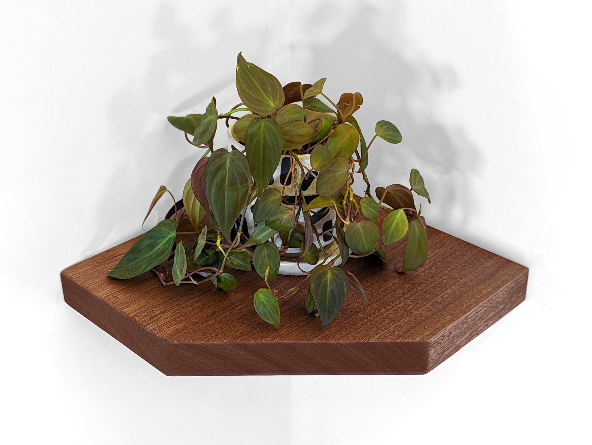 Maho Floating Shelf | Handcrafted Mahogany, Minimalist Design 3