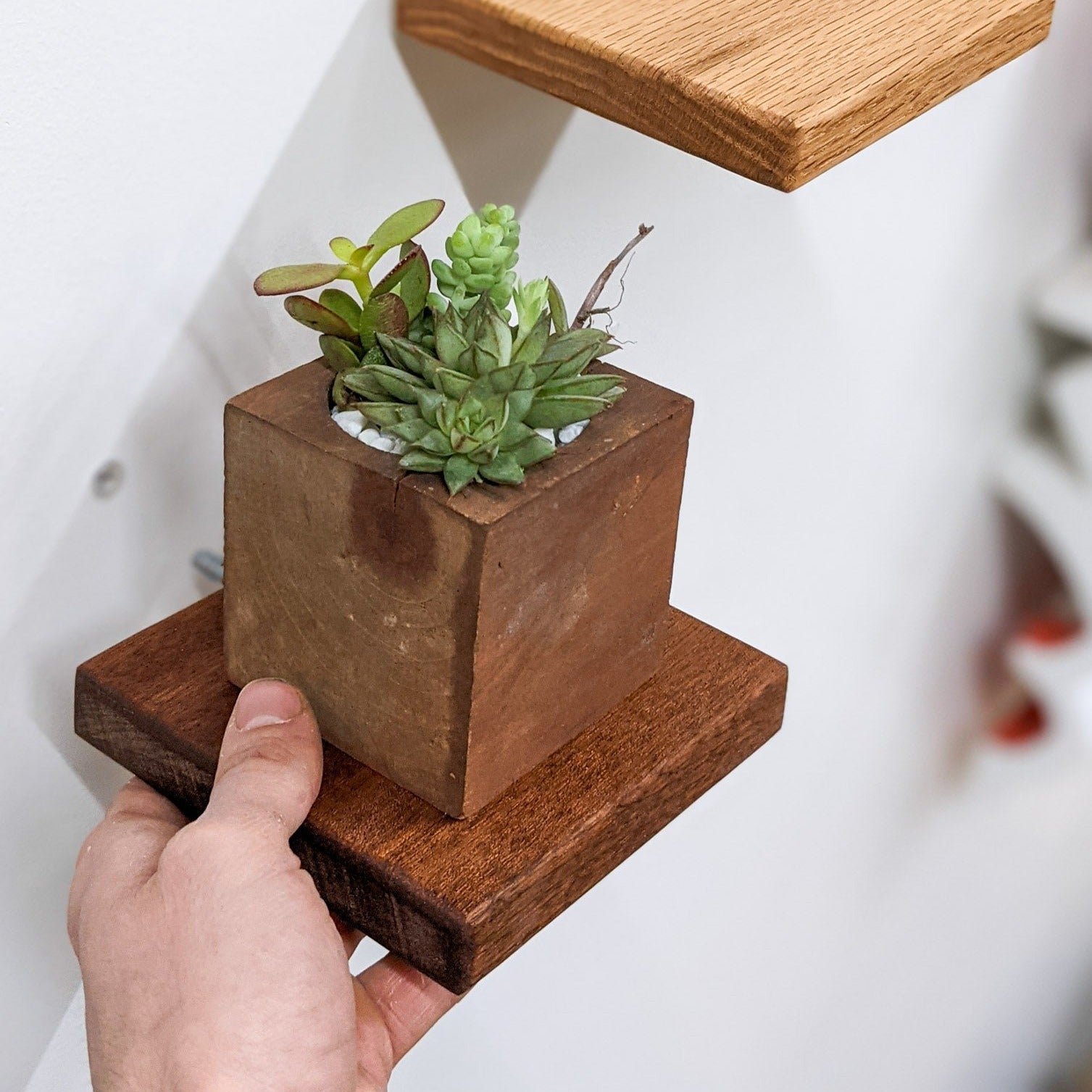 Mavi Square Shelf | Handcrafted Mahogany 0