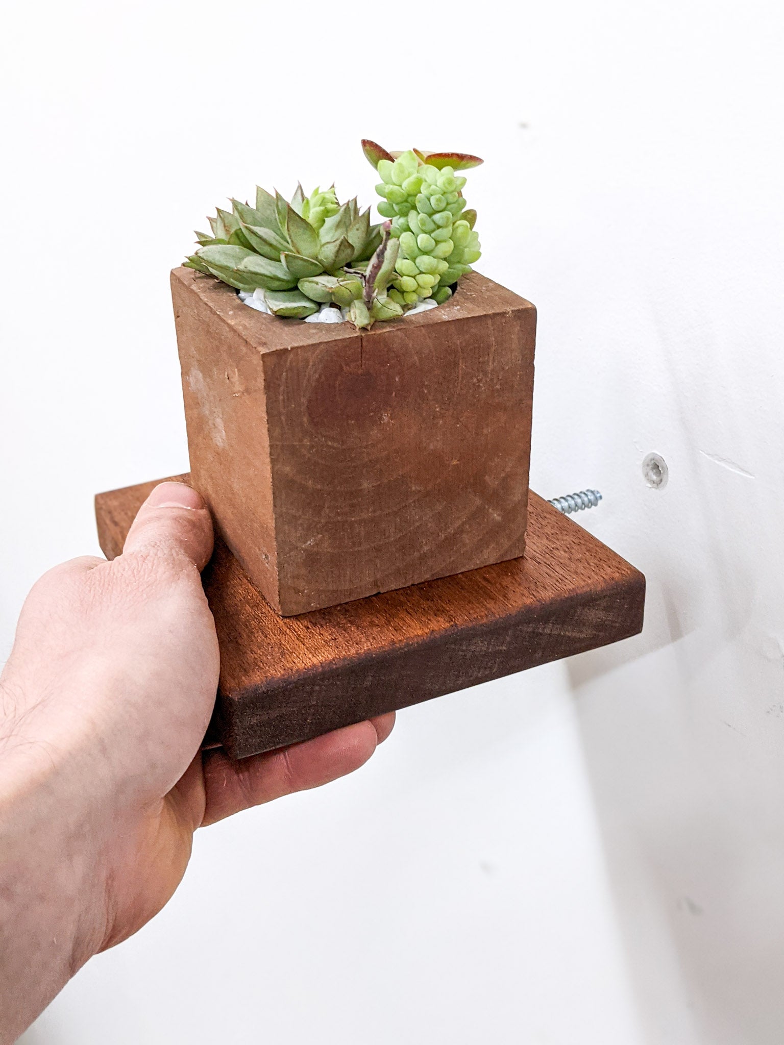 Mavi Square Shelf | Handcrafted Mahogany 1