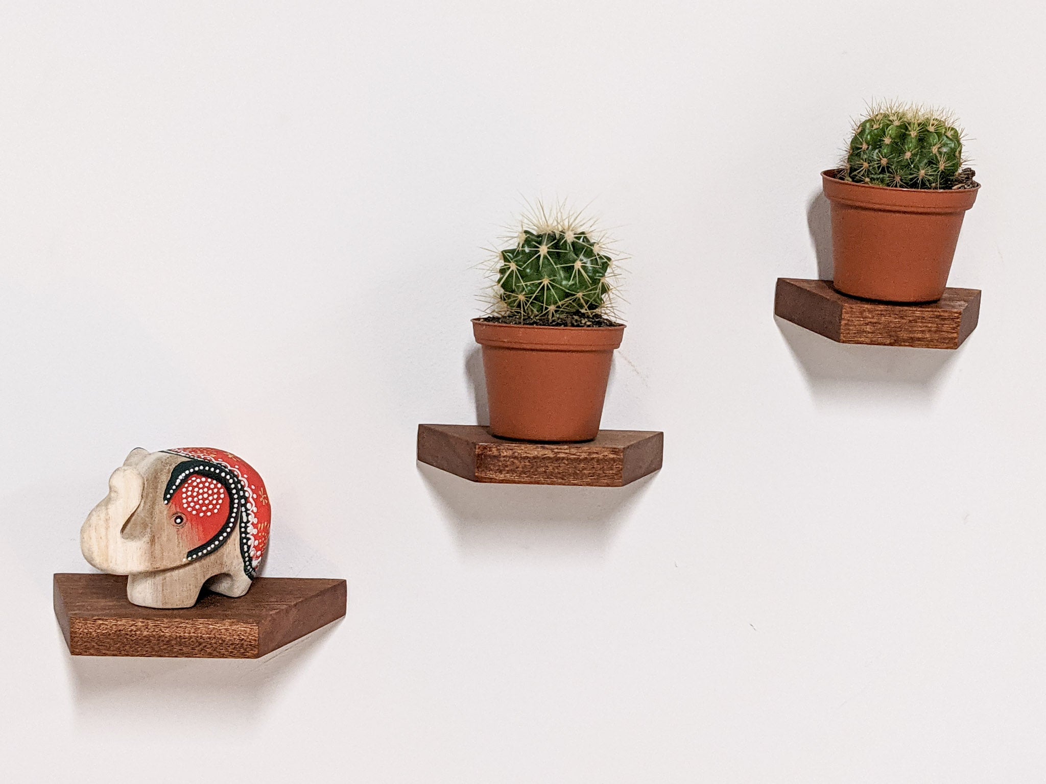 Milo Display Shelf | Handcrafted Mahogany, Trapezoid Design 3