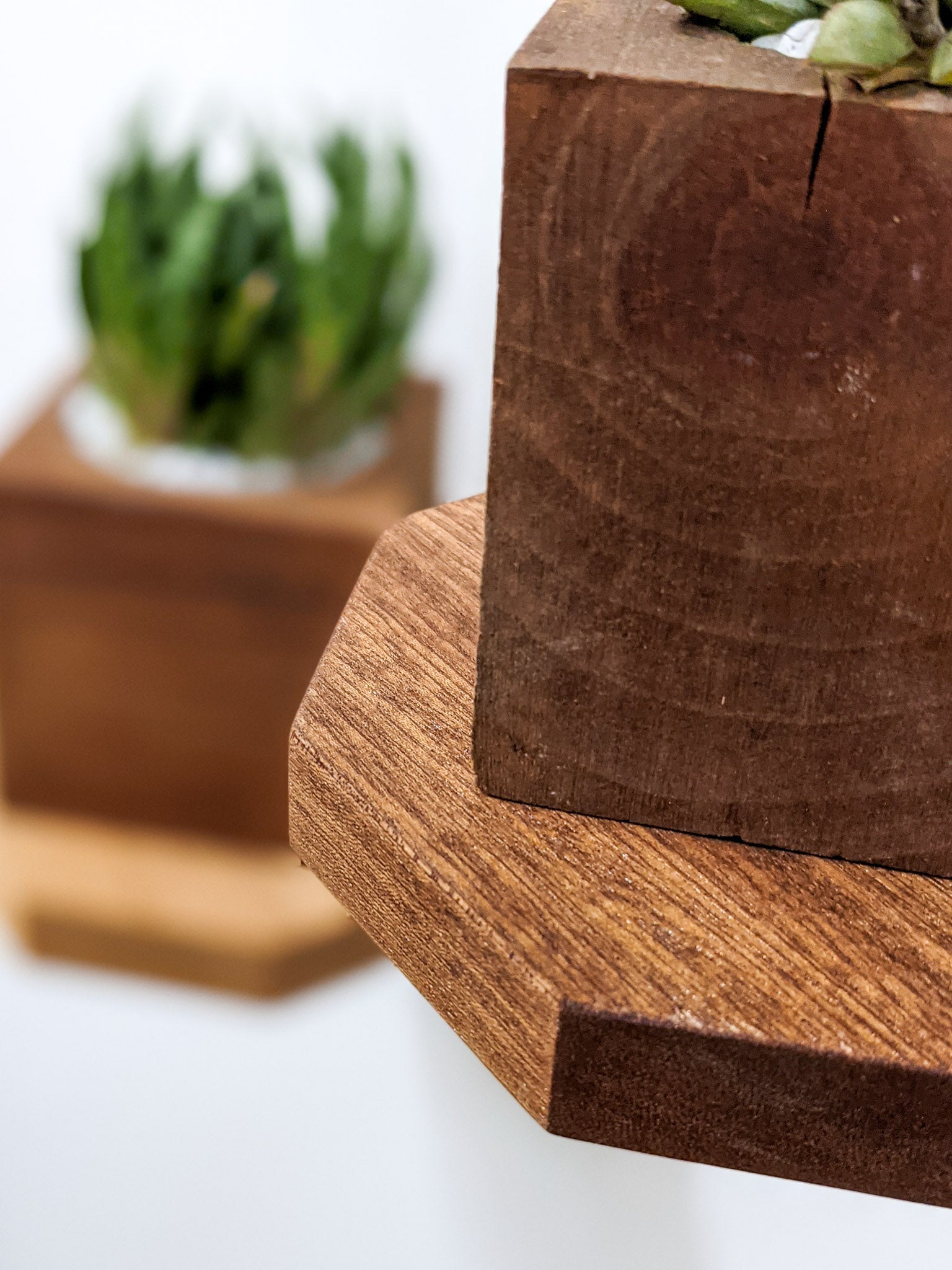 Milo Octagon Shelf | Handmade Mahogany Display 3