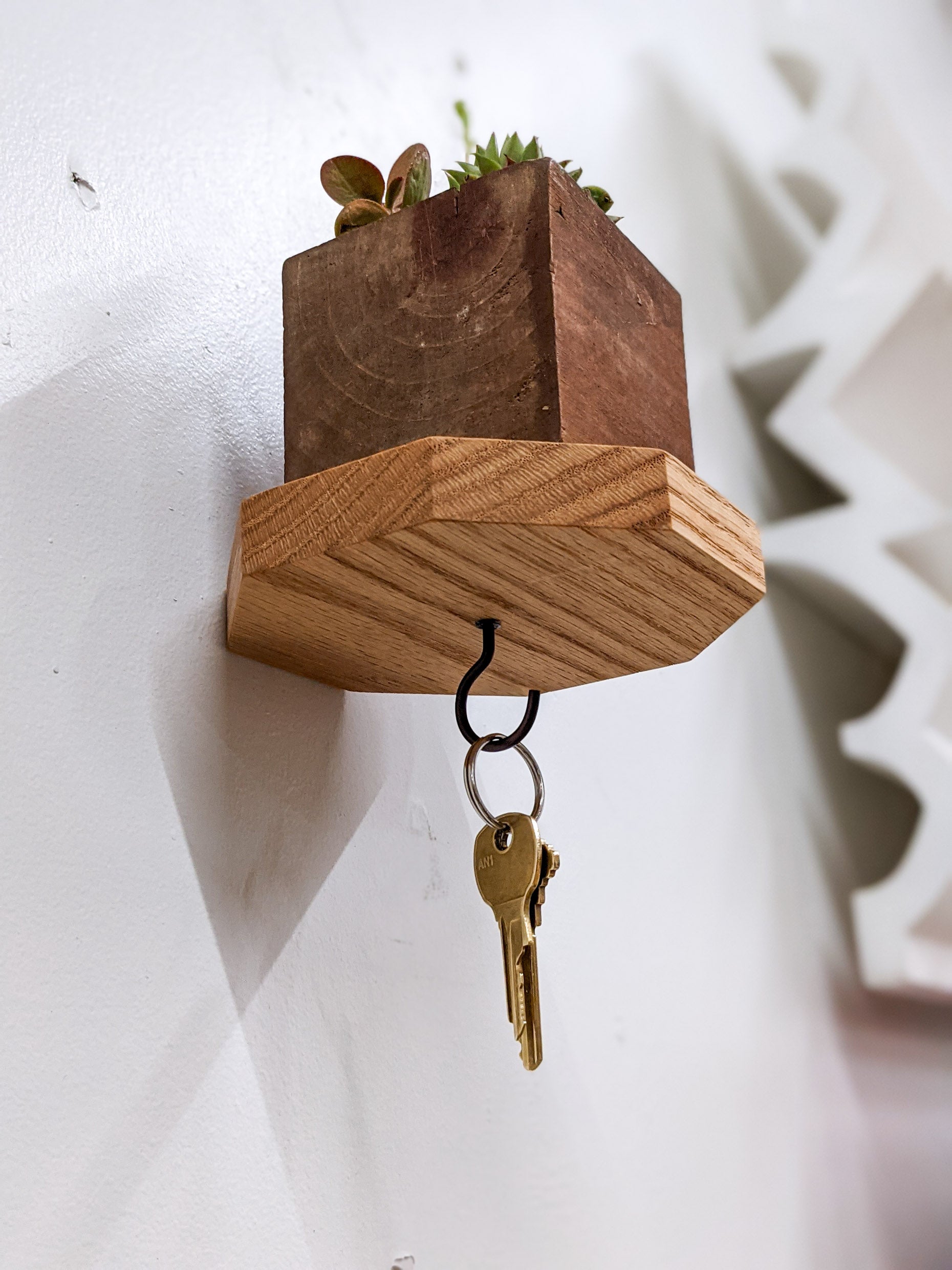 Oaktree Octagon Shelf | Custom-Built Key Hook 2