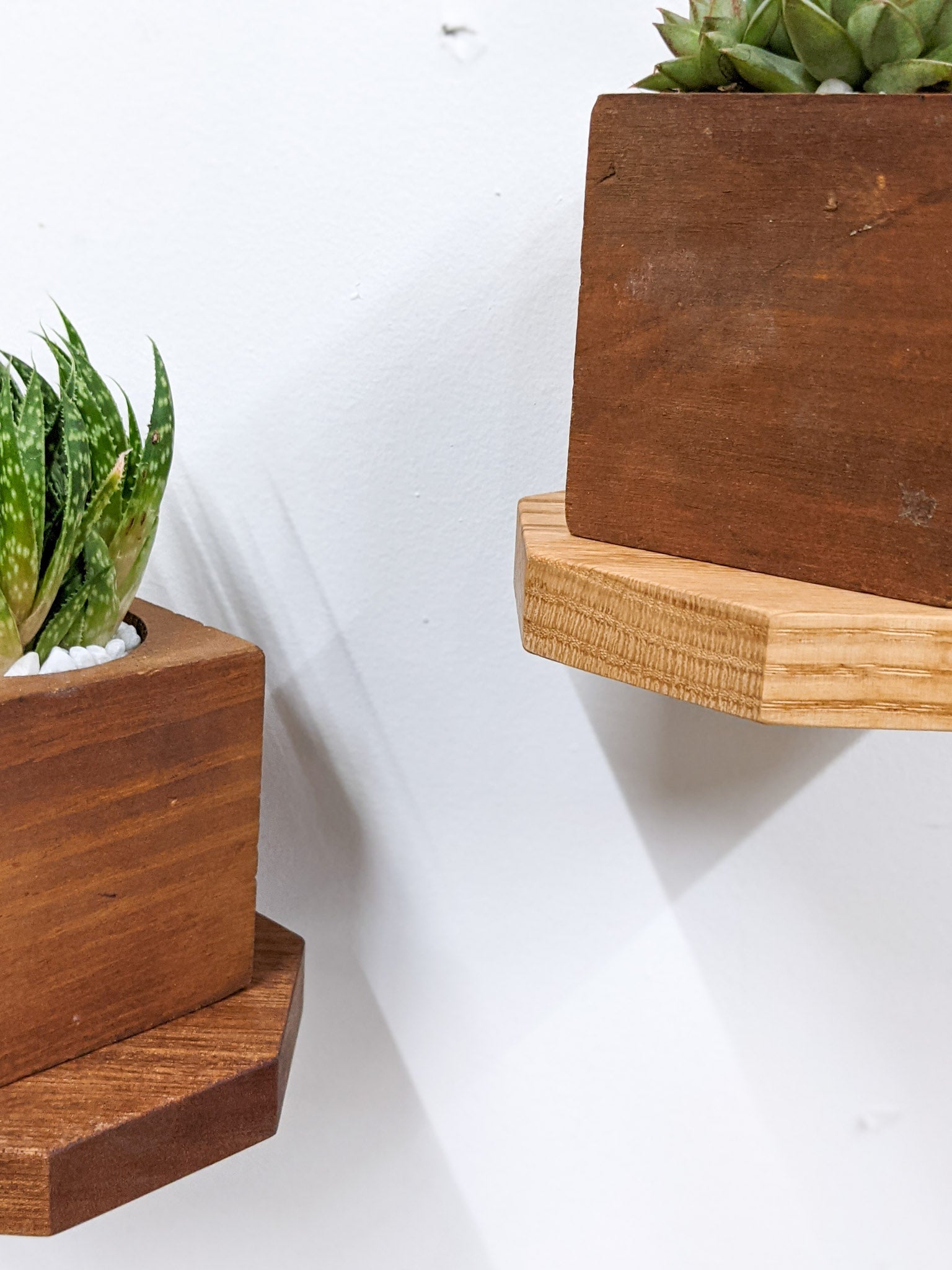 Oaktree Octagon Shelf | Handmade Premium Oak Floating Wall Shelf 3