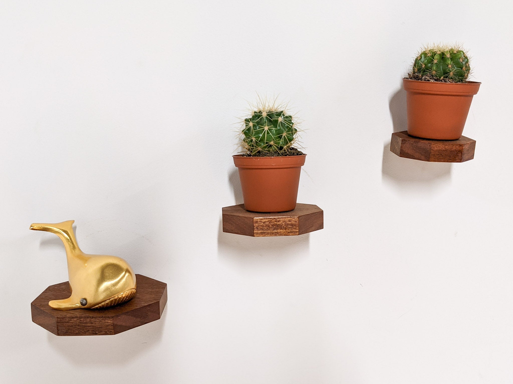 Oaktree Octagon Shelf | Handmade Premium Oak Floating Wall Shelf 8