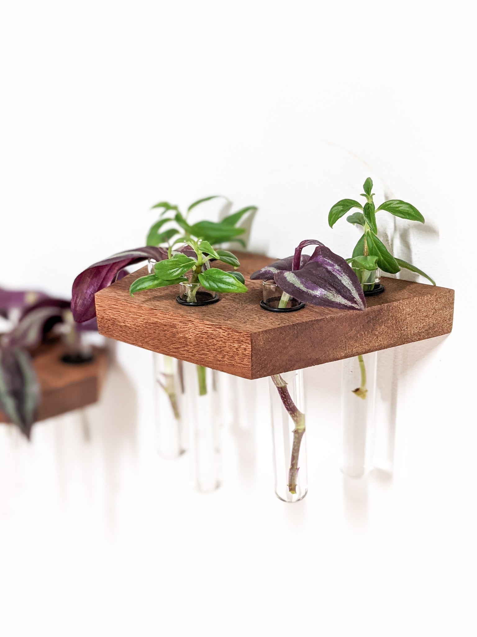 Pura Wall Shelves Set | Handcrafted Wooden, Decorative Floating Design 5