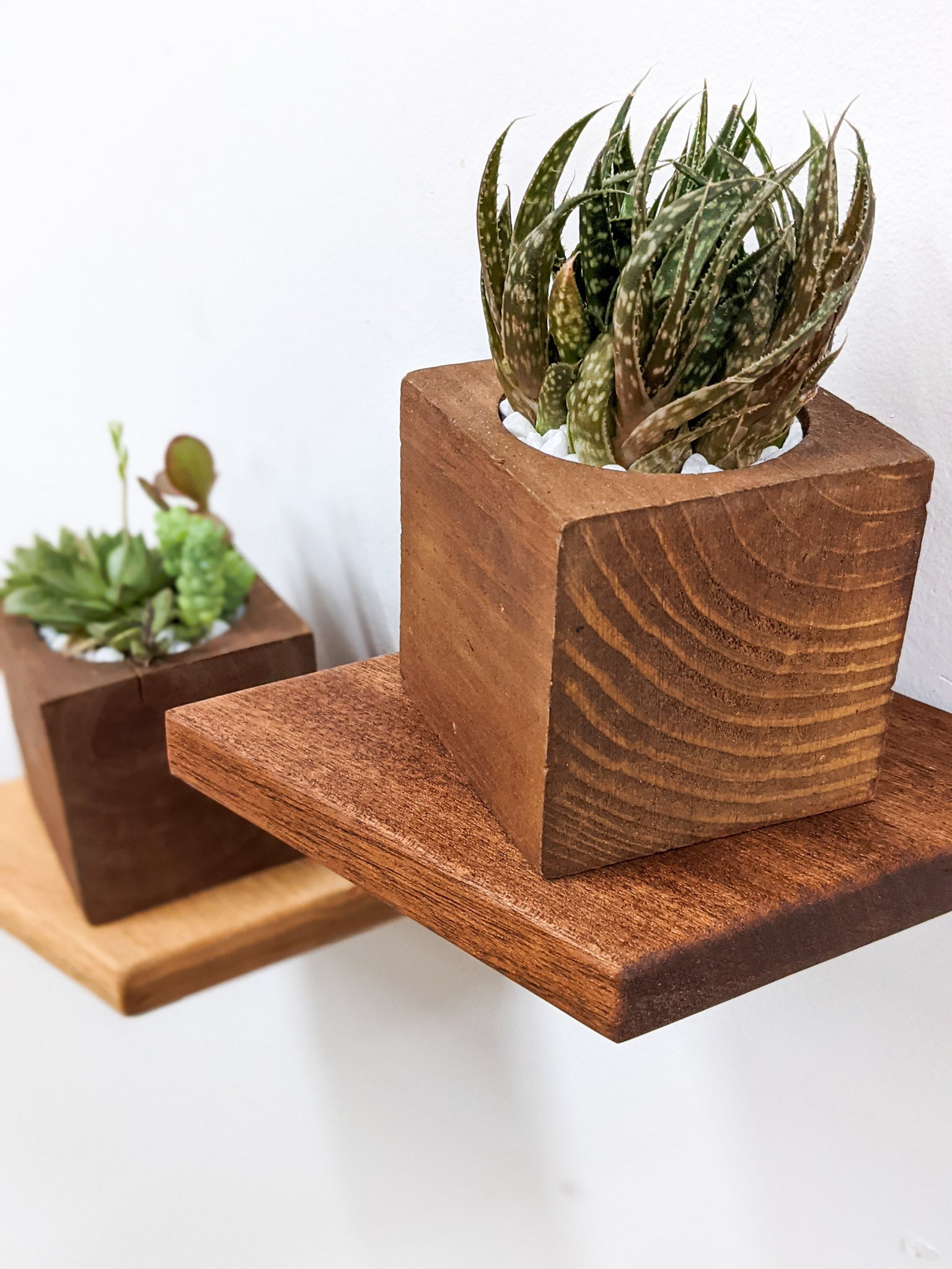 Rho Mini Shelf | Handcrafted Mahogany Display 1
