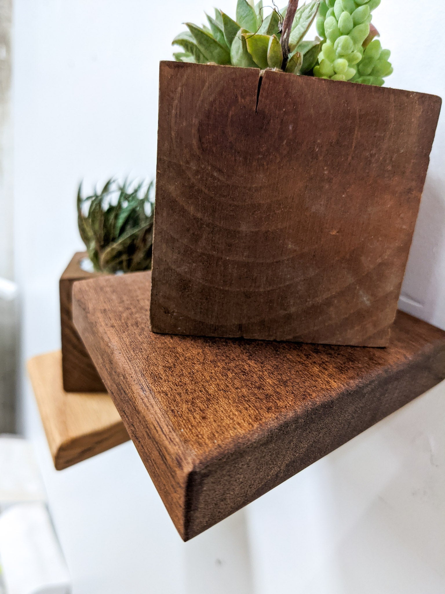 Rho Mini Shelf | Handcrafted Mahogany Display 2