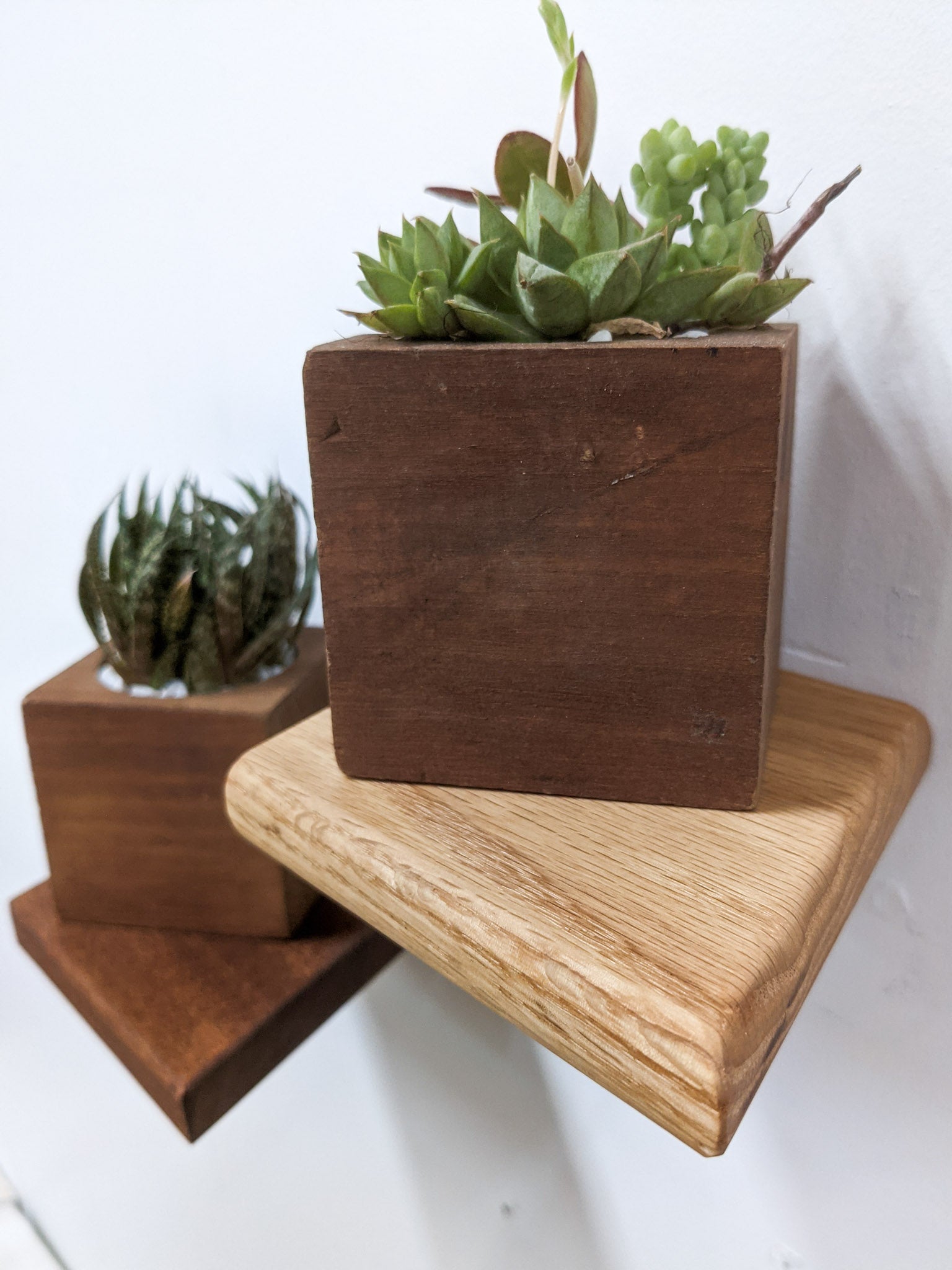 Rho Mini Shelf | Handcrafted Mahogany Display 6
