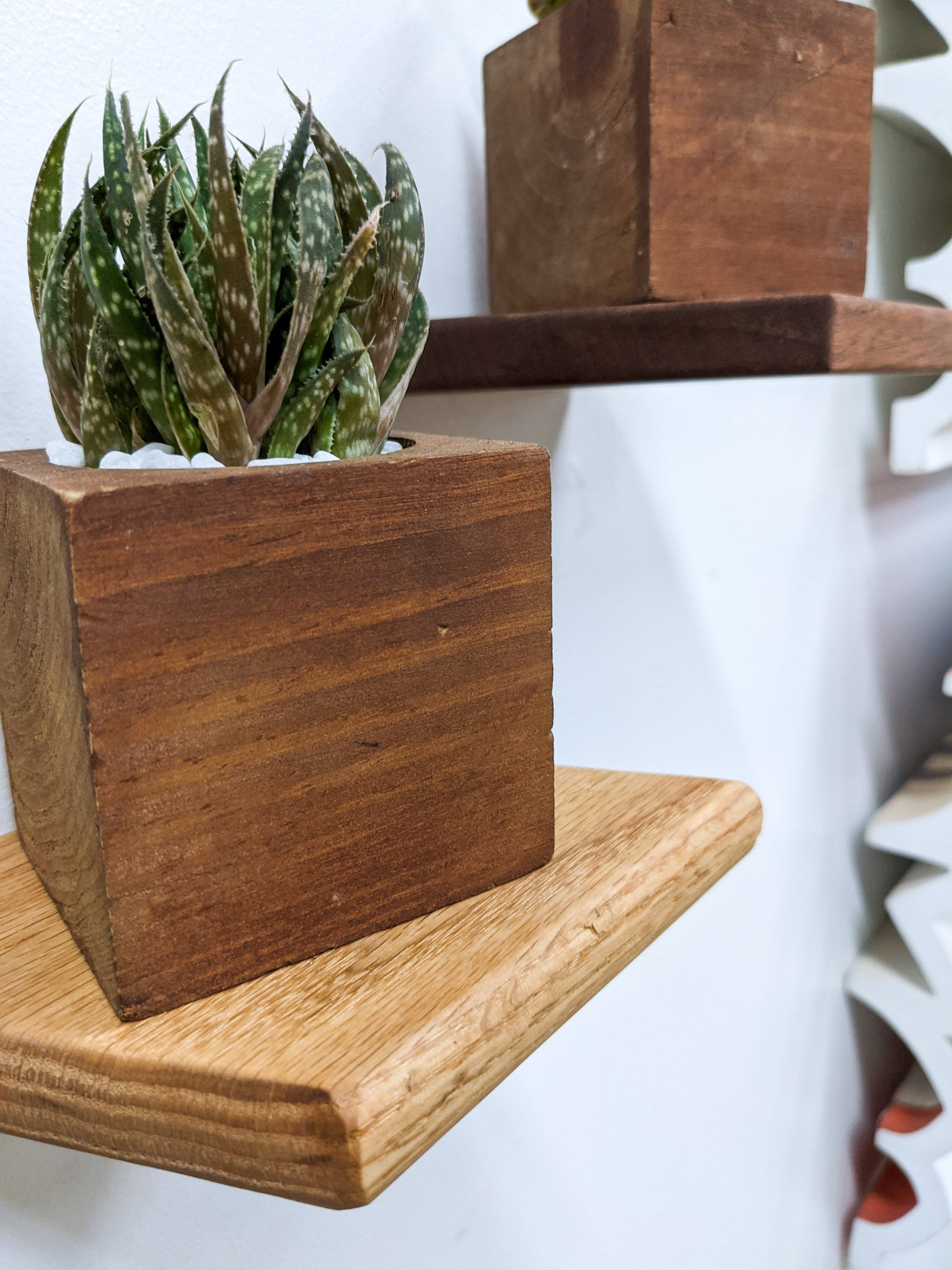 Rho Mini Shelf | Handcrafted Mahogany Display 8
