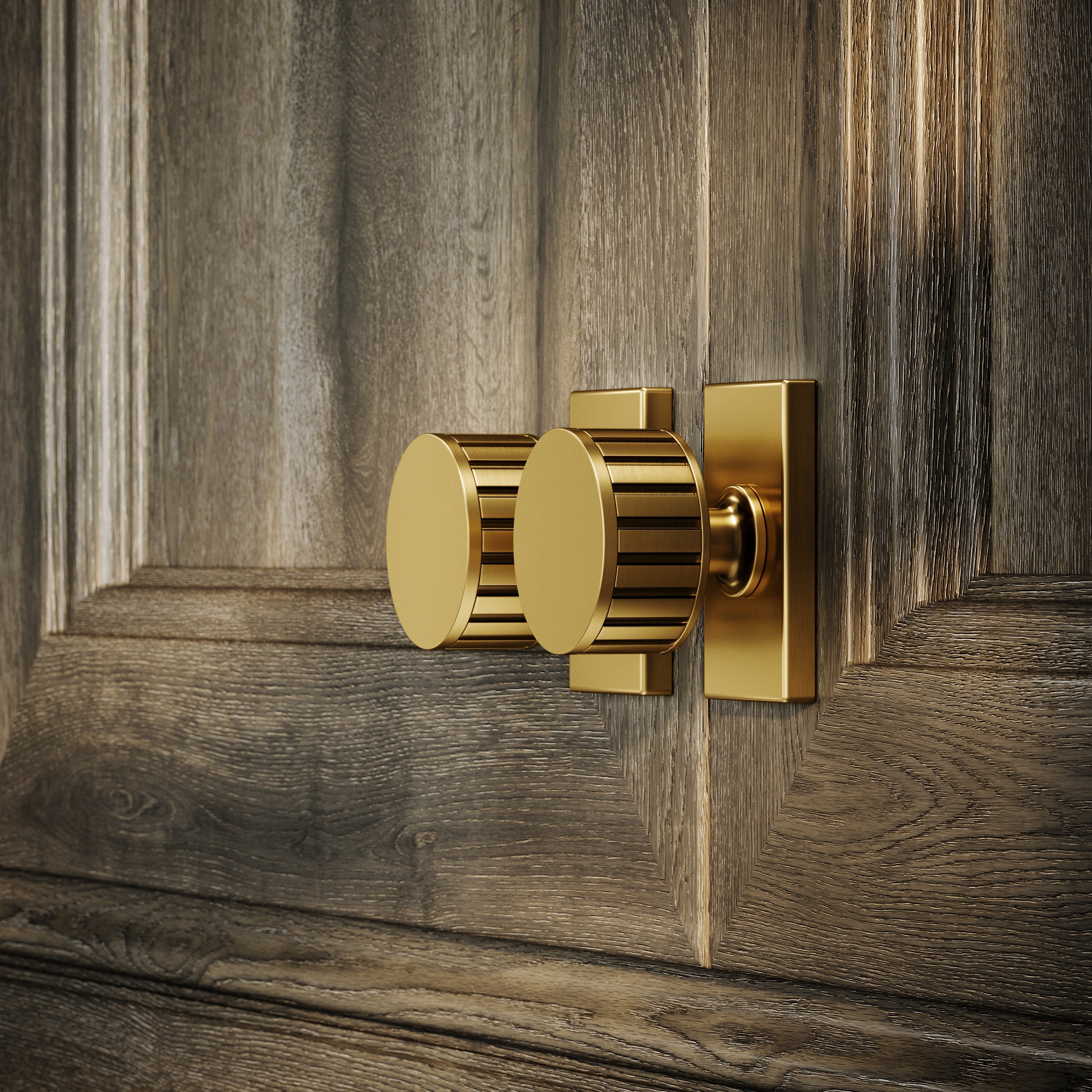 Rola Cabinet Knob | Brushed Gold, Solid Brass 3