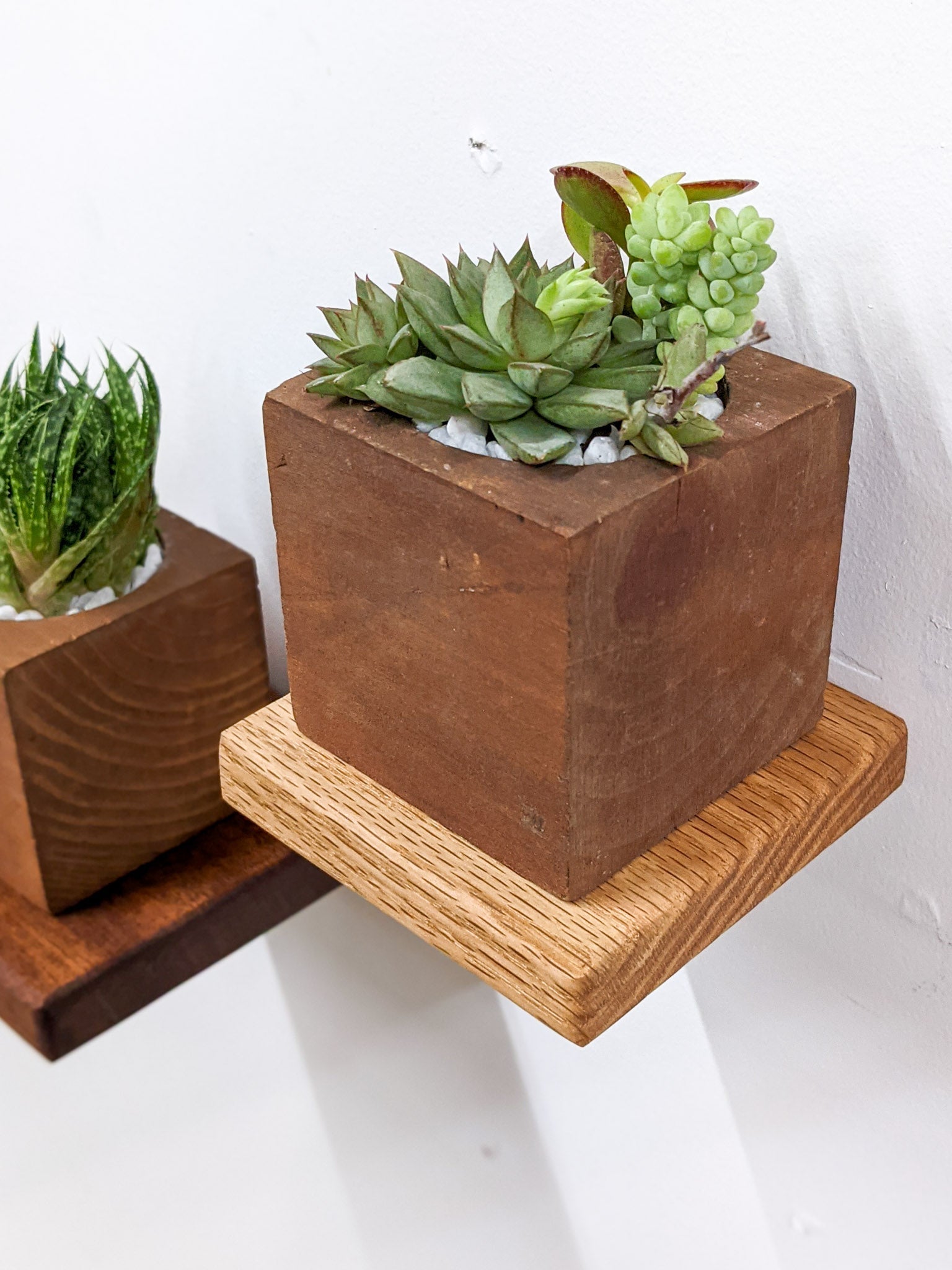 Sola Floating Shelf Set | Oak and Mahogany 6