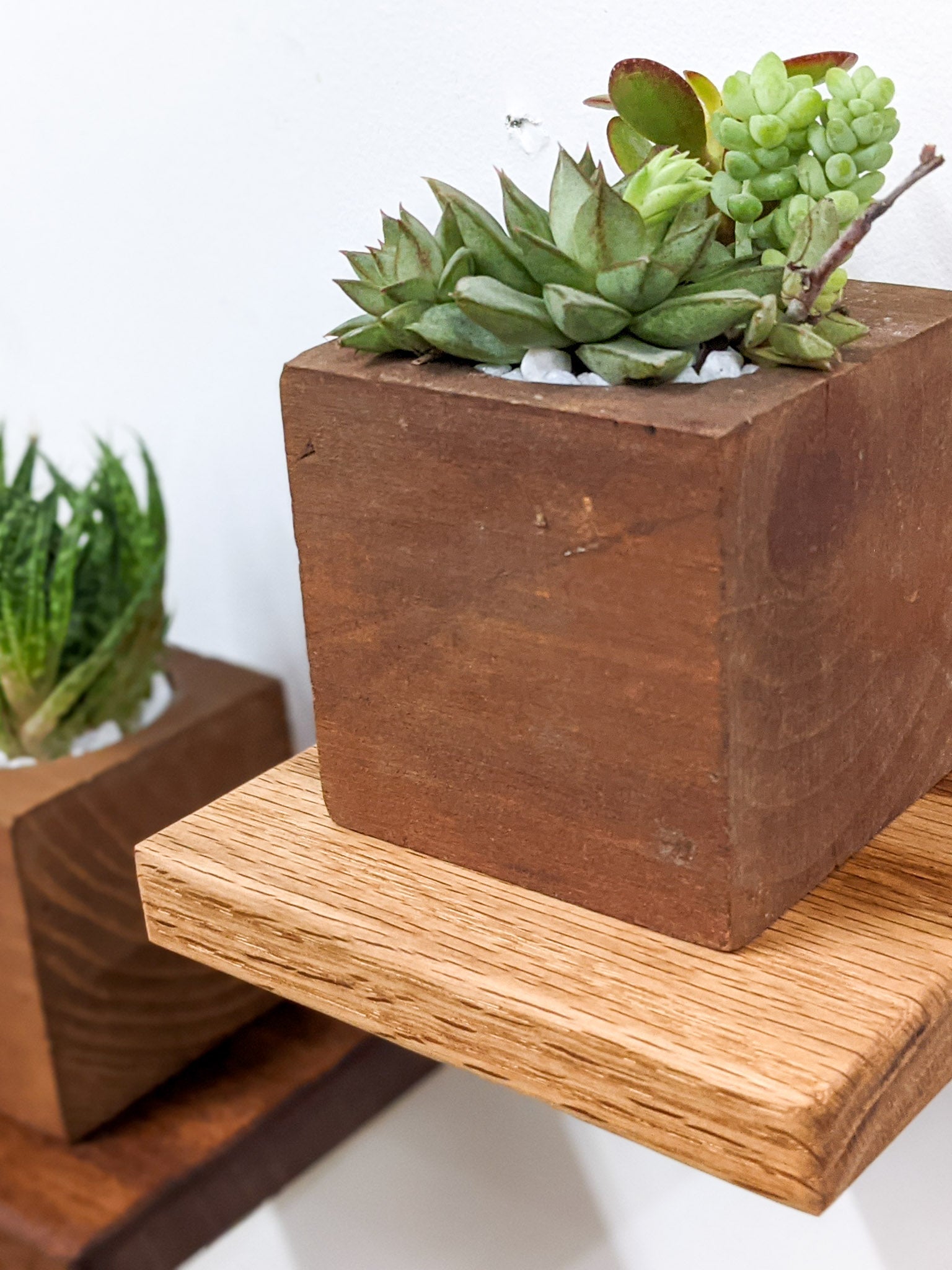 Sola Square Shelf | Handcrafted Oak Display 2
