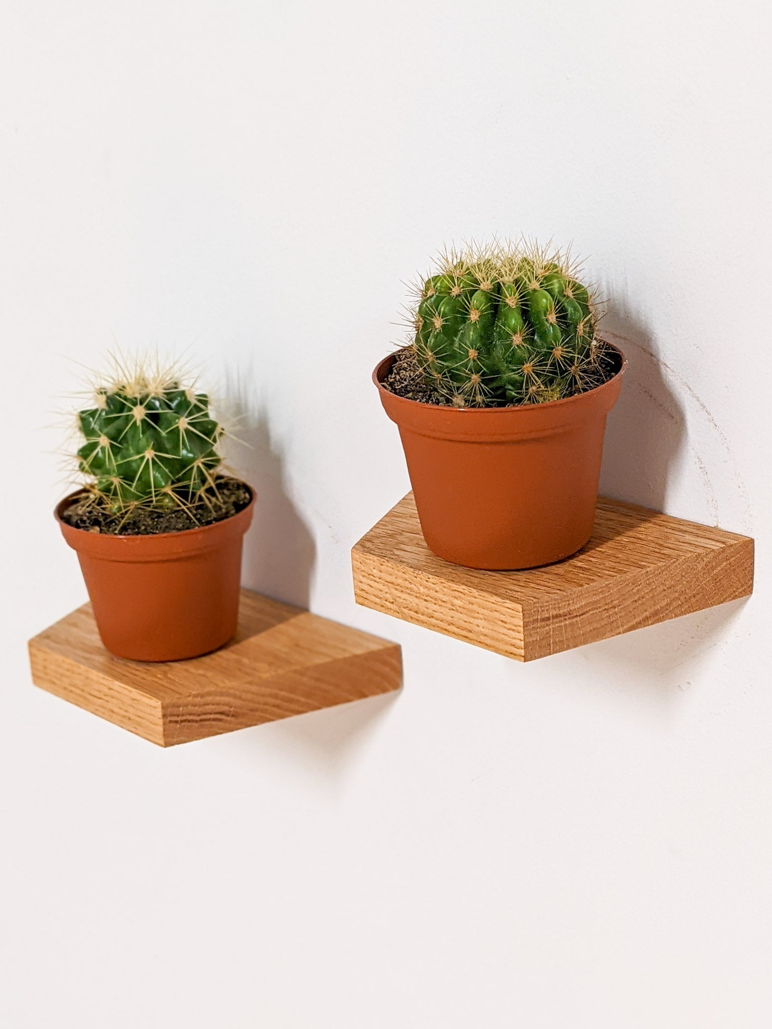 Tara Display Shelf | Handcrafted Oak, Compact Design 1