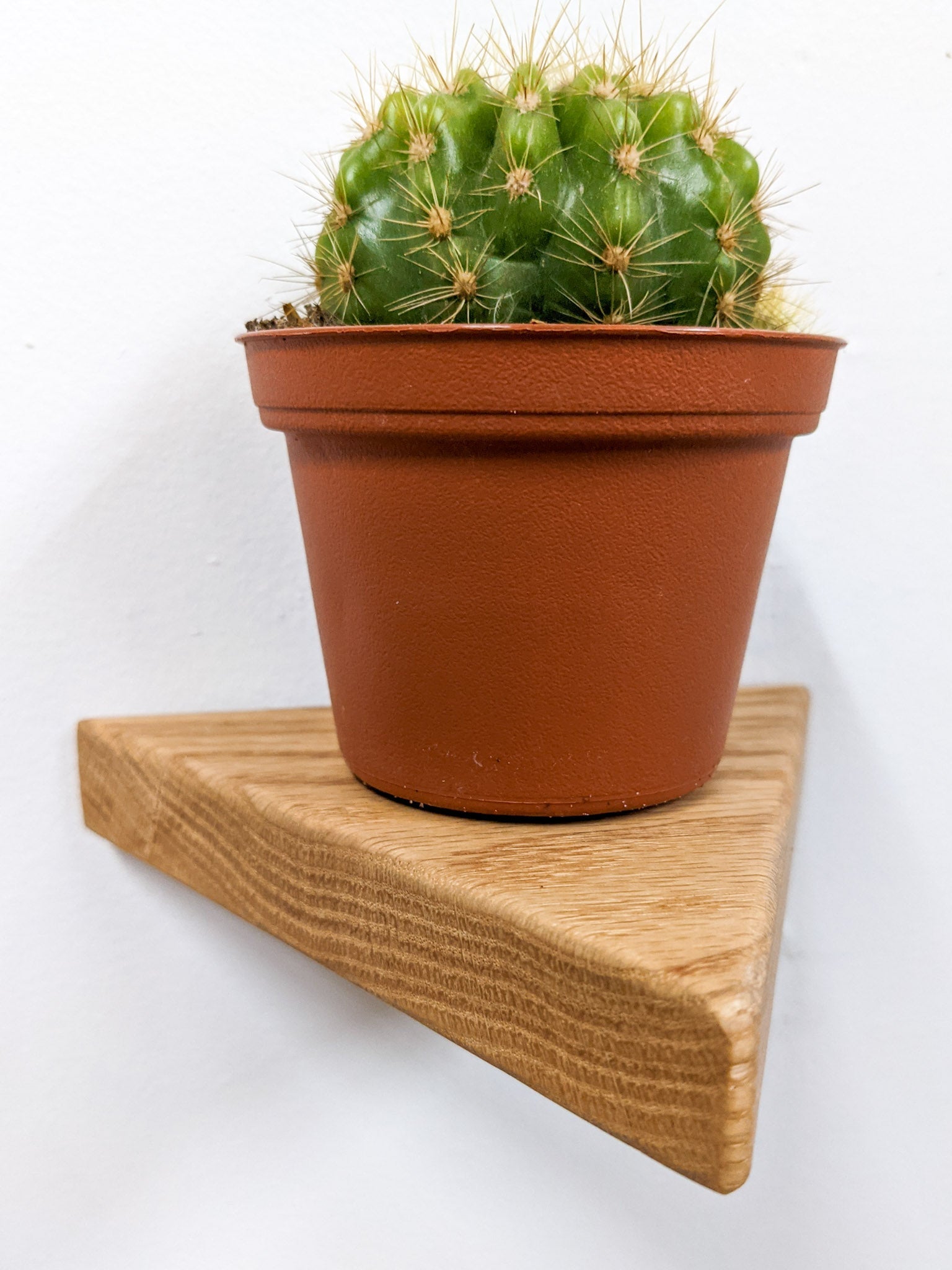Tara Triangle Shelf | Handmade Solid Oak Wall Shelf, Danish Oil Finish 2