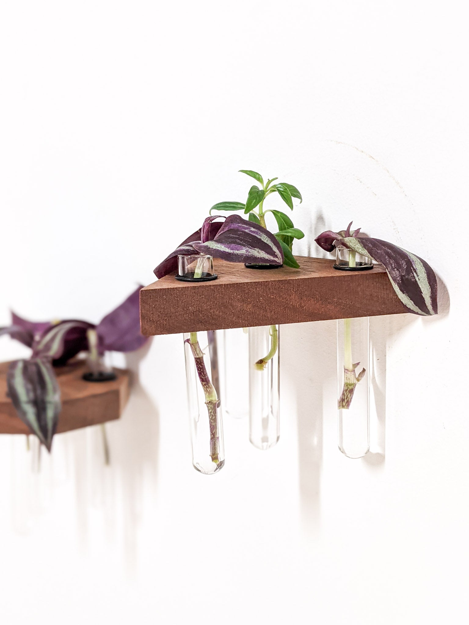 Trellis Plant Shelf | Premium Oak or Mahogany 0