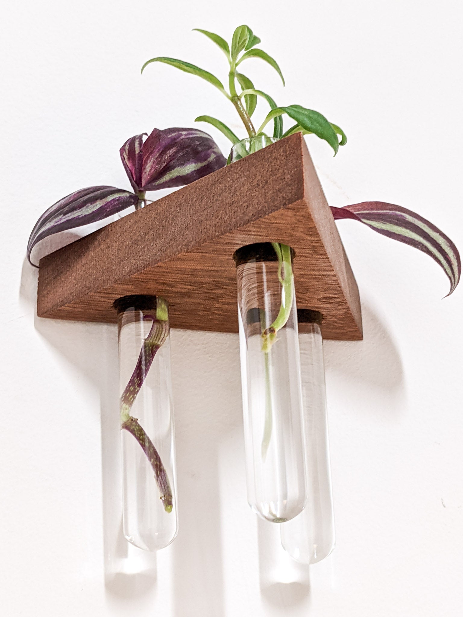 Trellis Plant Shelf | Premium Oak or Mahogany 3