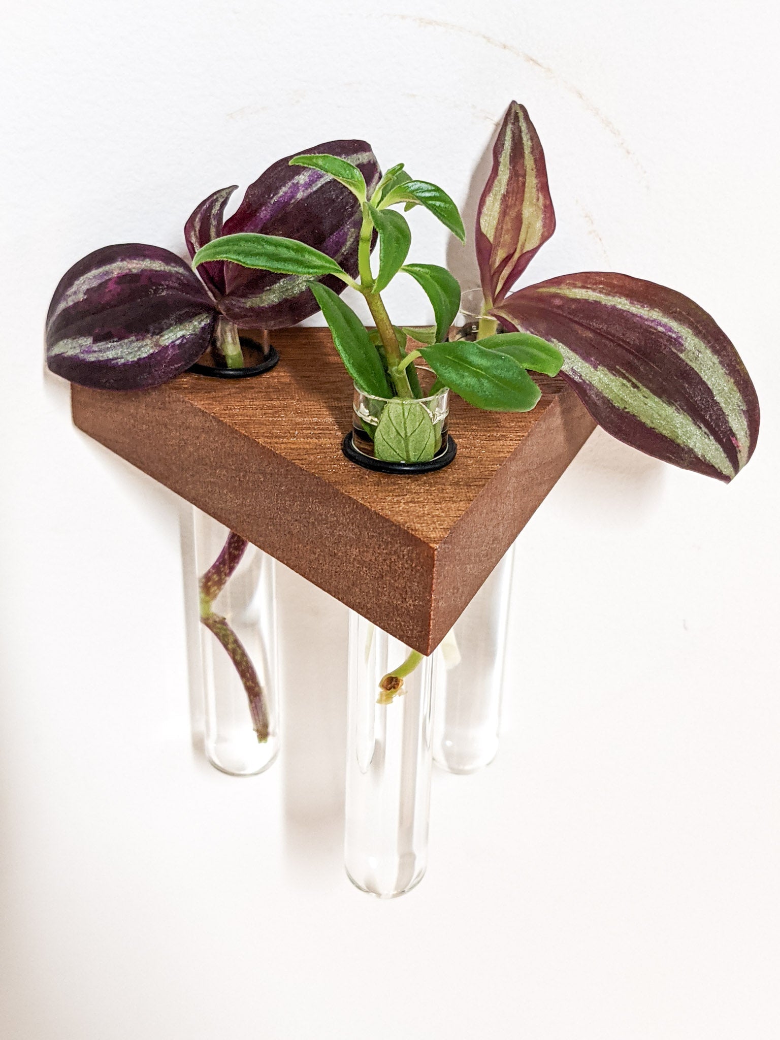Trellis Plant Shelf | Premium Oak or Mahogany 4