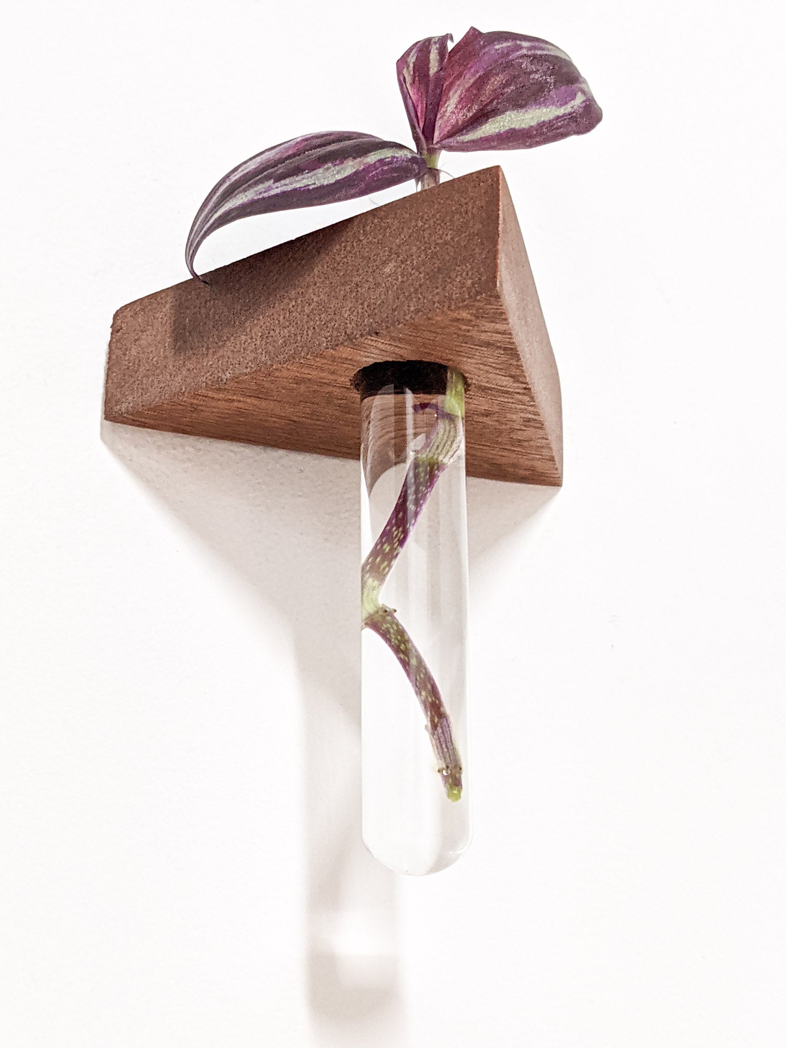 Trellis Plant Shelf | Premium Oak or Mahogany 5